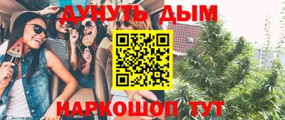 мдпв Тула