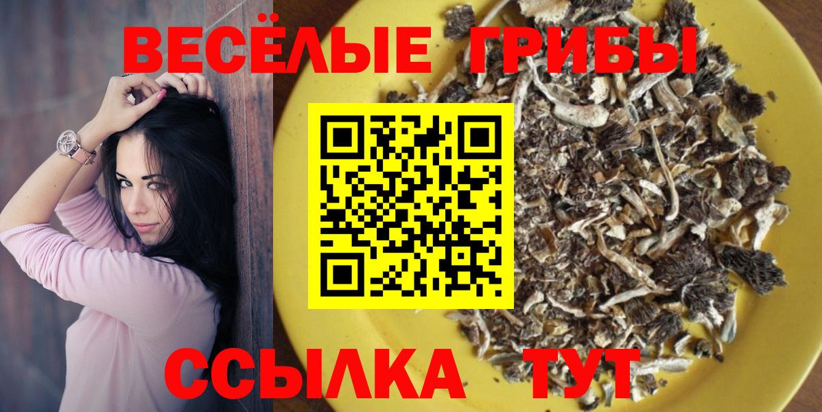 Галлюциногенные грибы GOLDEN TEACHER  Вход с VPN  закладки  Новоалтайск 